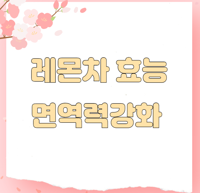 레몬차 효능 면역력강화