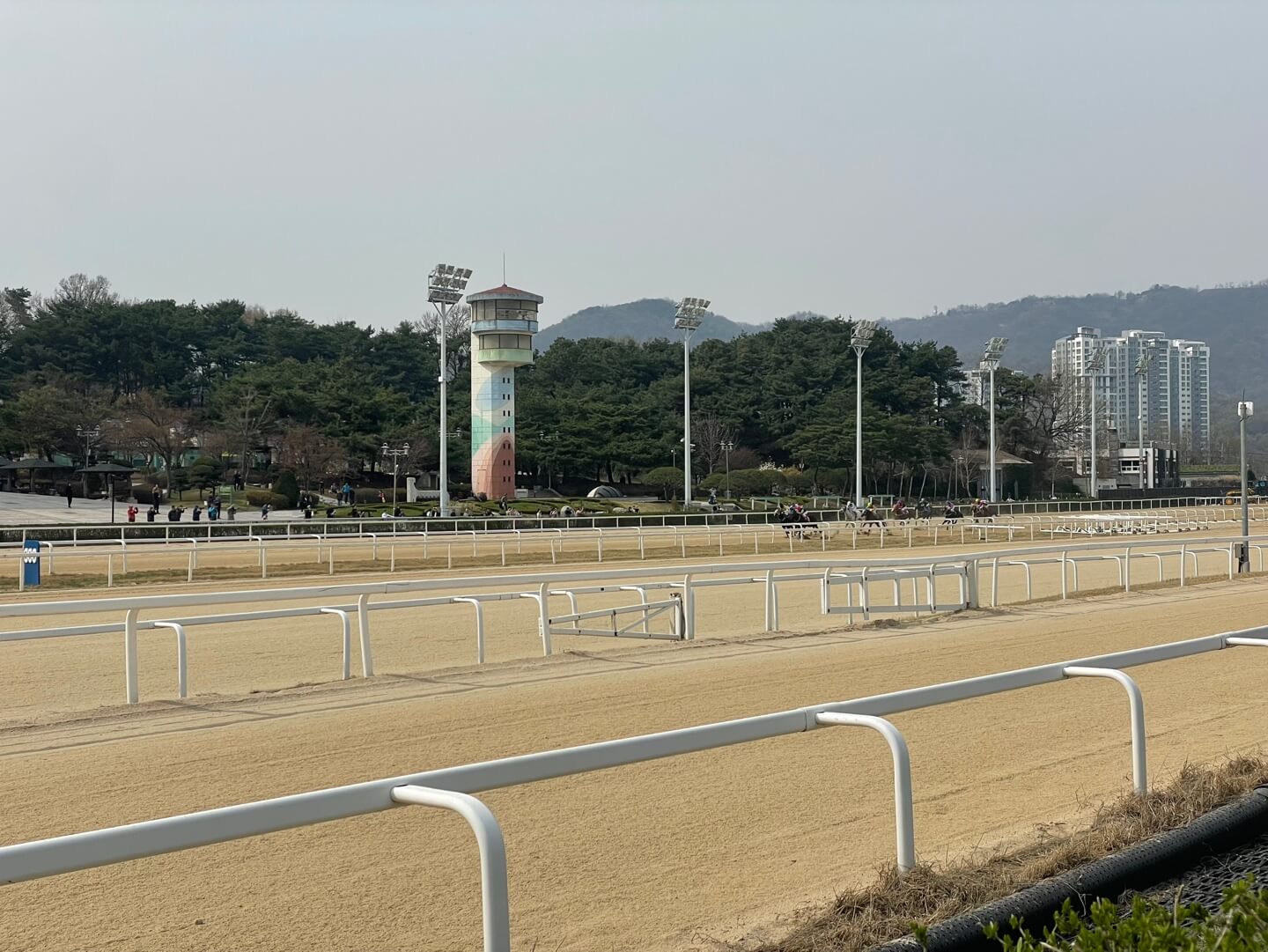 렛츠런파크 서울은 경마