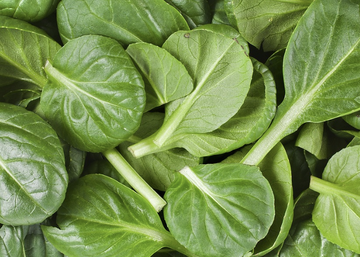 시금치 보관방법