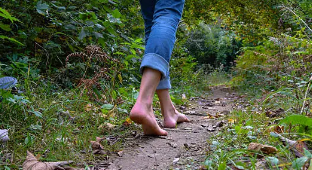 맨발 걷기 효능