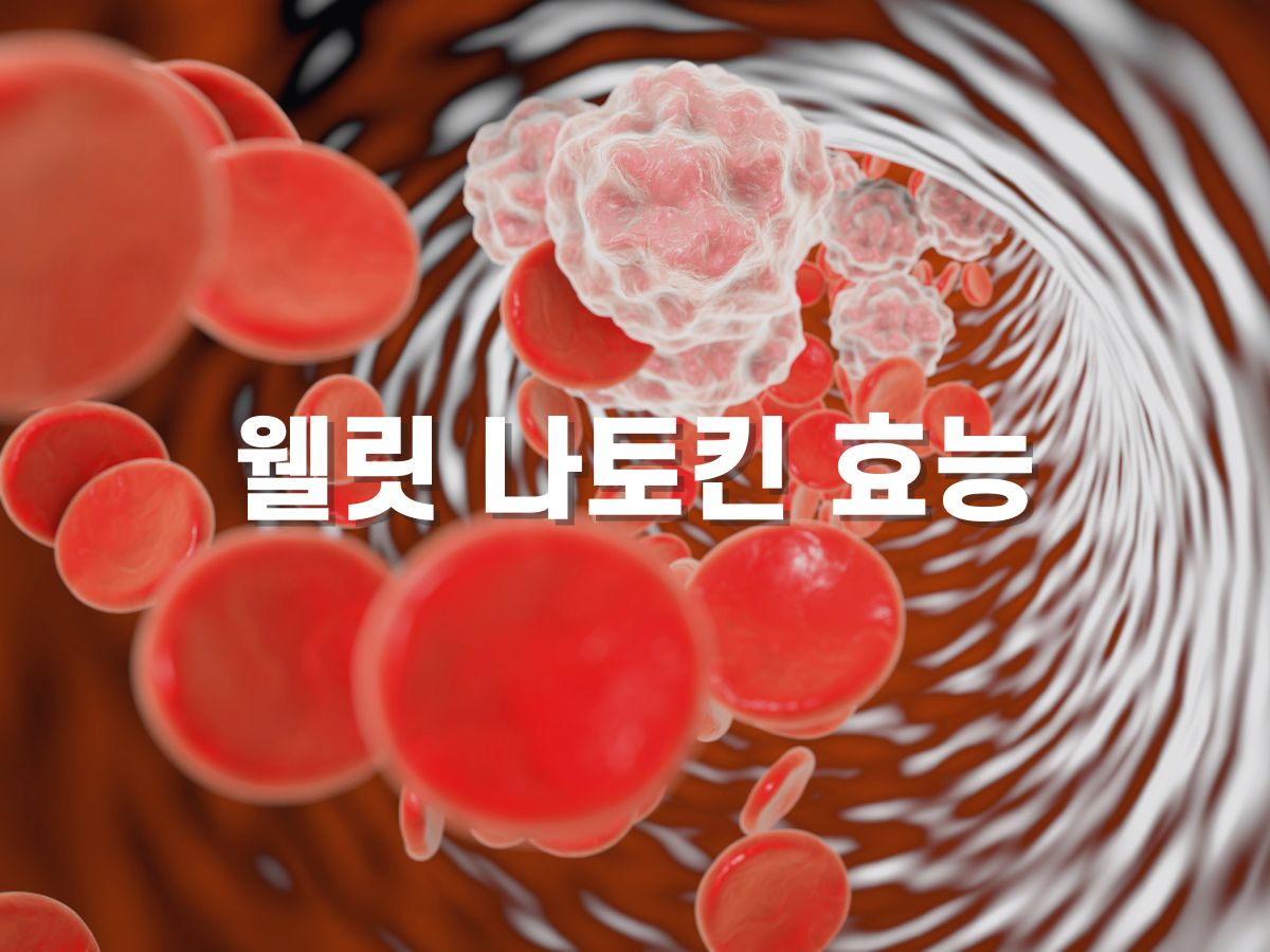 웰릿 나토킨 효능
