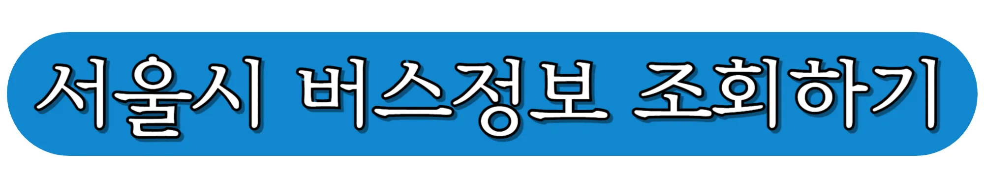 서울시-버스정보-조회하기