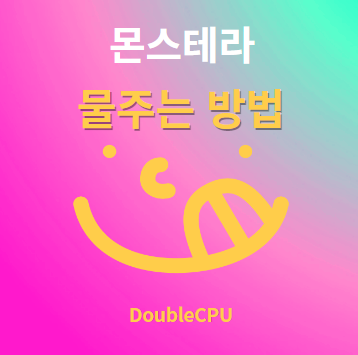 몬스테라 물주기