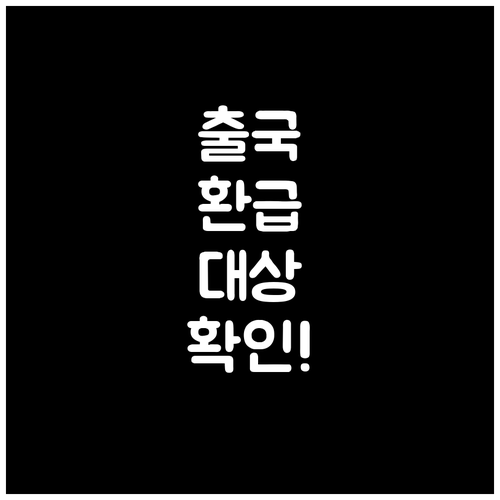 출국납부금 환급 대상 자격과 나이 제..