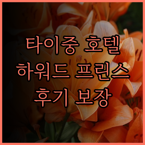 타이중 여행 필수 숙소 더 하워드 프