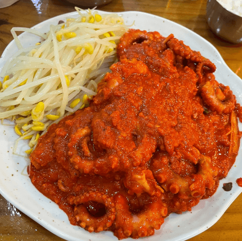 생방송투데이 낙지볶음 서울 종로 맛집