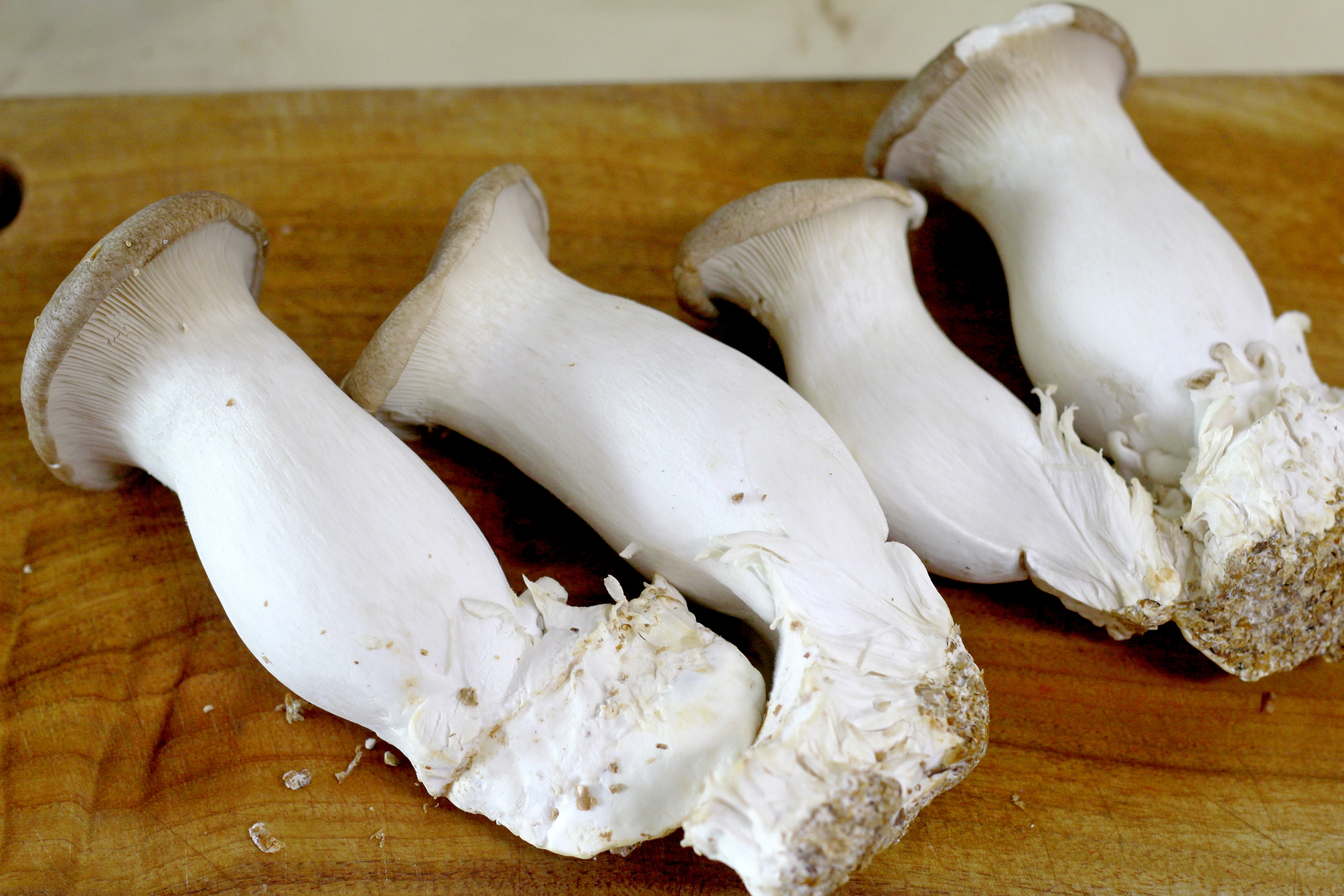 굴소스새송이버섯볶음