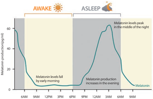 식물성 멜라토닌 합성 멜라토닌 허바토닌 프로솜니얼 herbatonin prosomnial 미강주정추출물 쌀눈 락티움 감태추출물 가바분말 불면증 수면개선