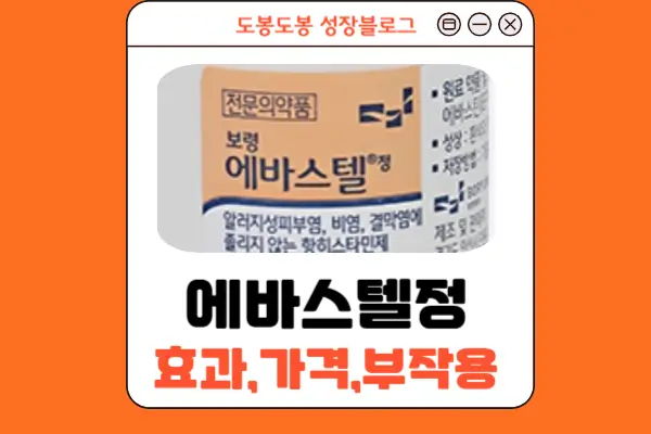 에바스텔정 안내 이미지