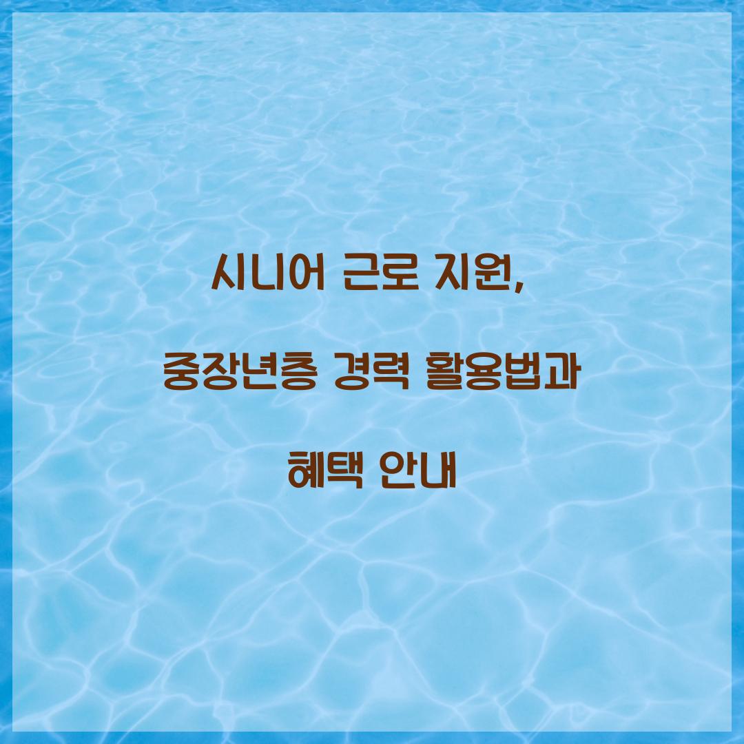 시니어 근로 지원