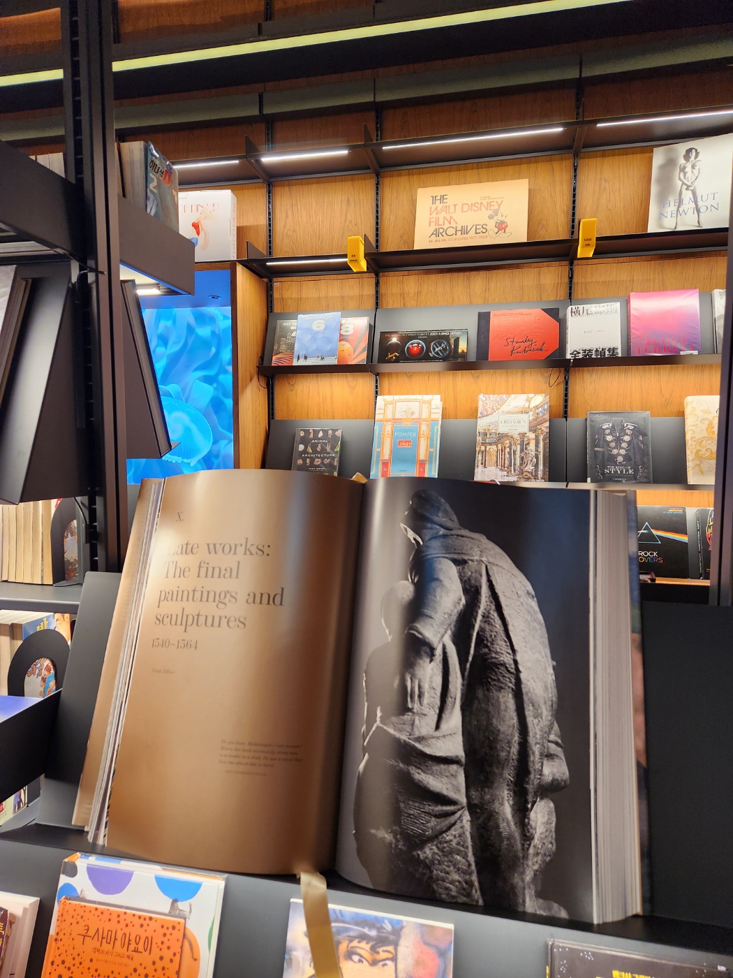 그래픽바이대신