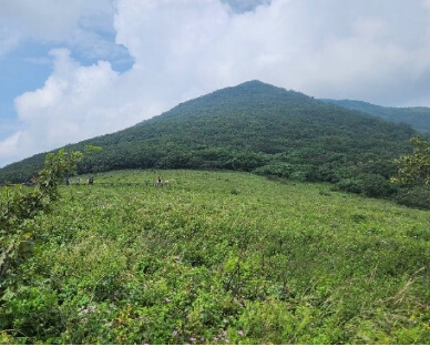곰배령 예약 및 등산코스 안내