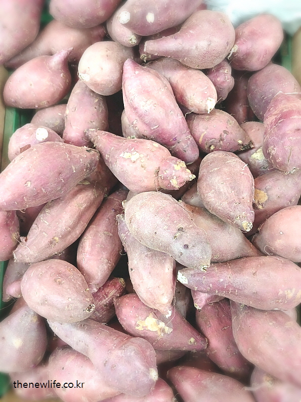 단순 탄수화물 대신 식후 졸음을 줄이는 데 도움이 되는 고구마 이미지