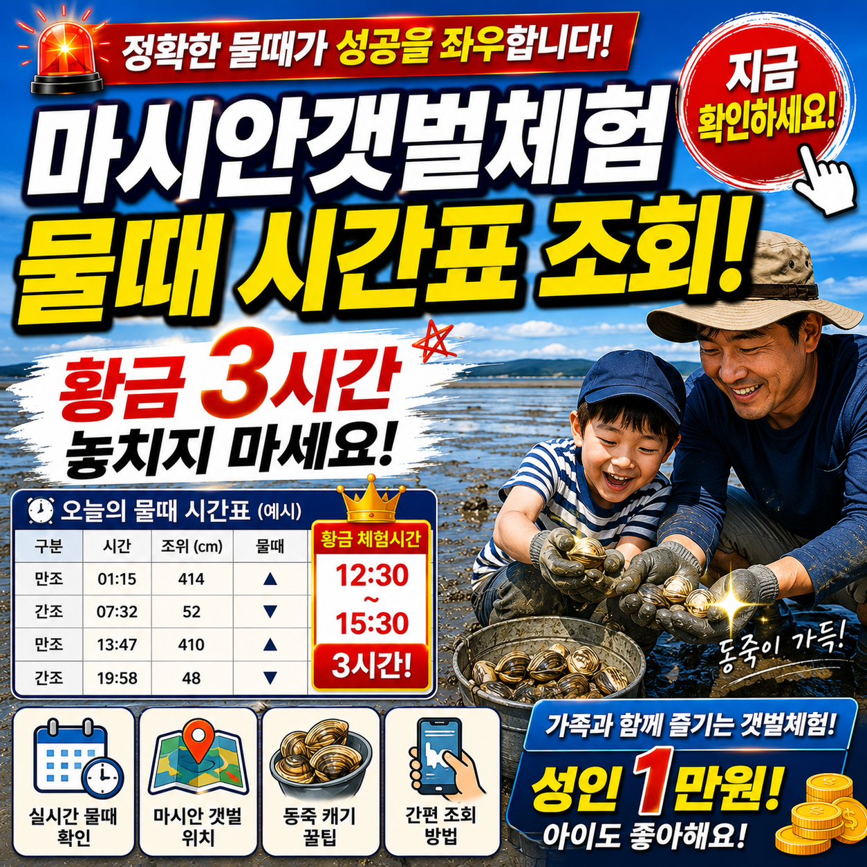 마시안갯벌체험 물때 시간표 조회! 황금 3시간 놓치지 마세요