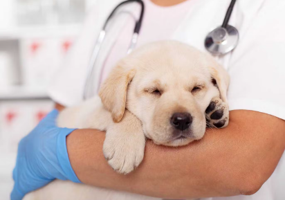 안을 수 있는 개