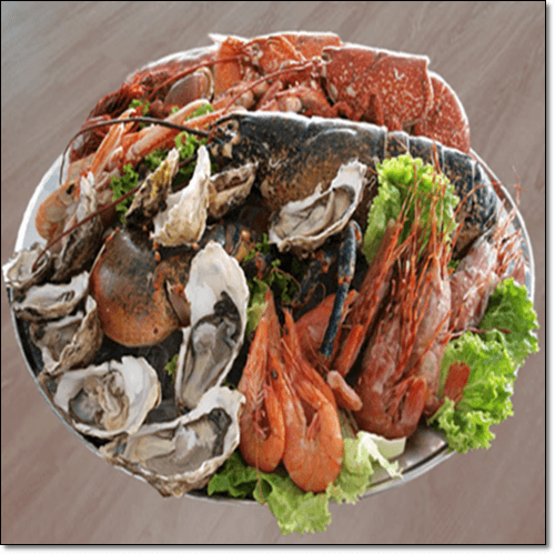 생굴과 새우 등 해산물