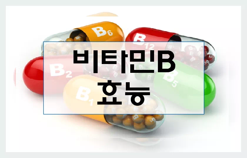 비타민B 효능