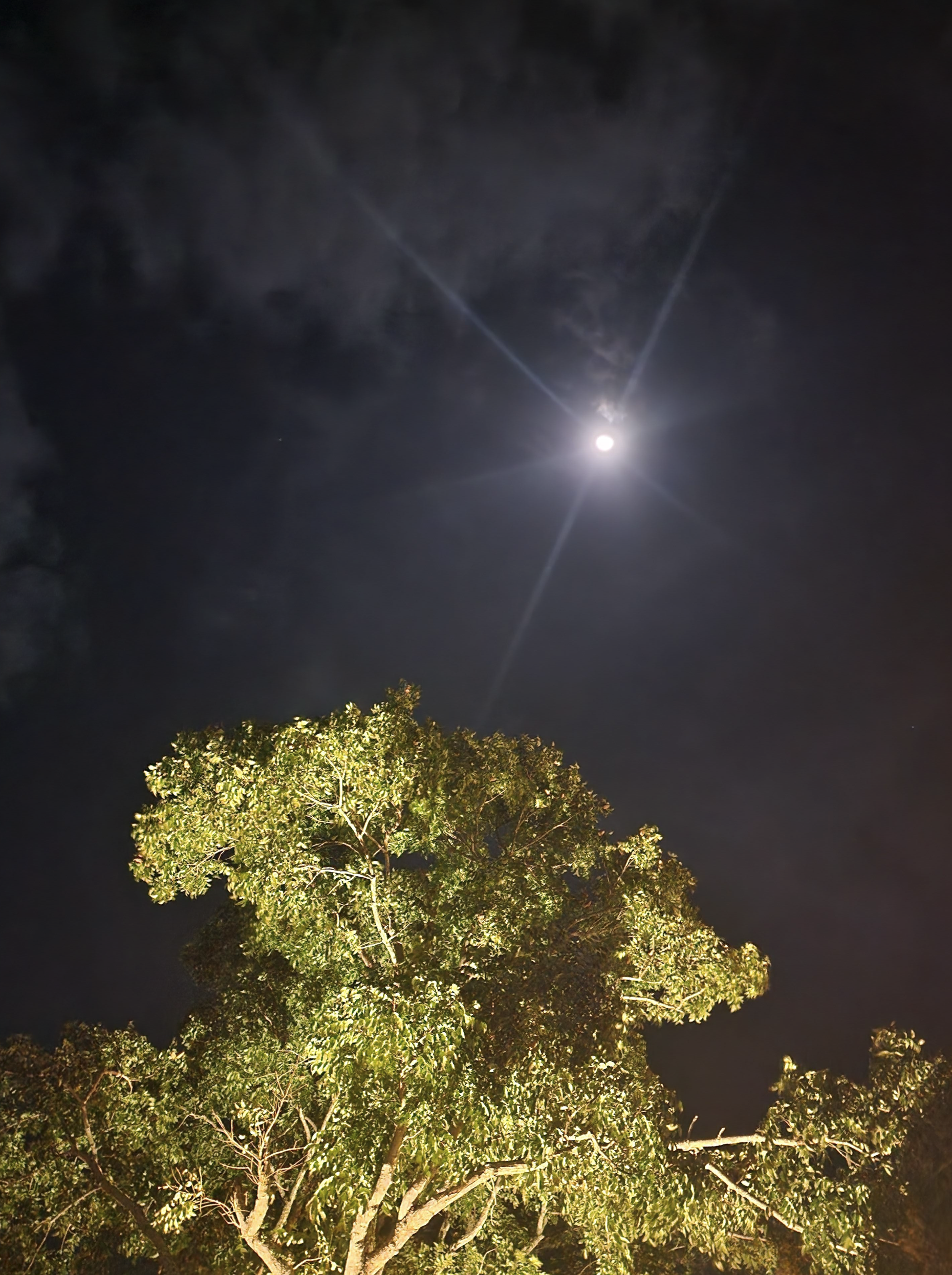 La Parisienne sky에서 달사진