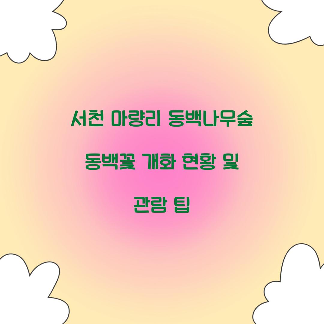 서천 마량리 동백나무숲 동백꽃 개화 상황