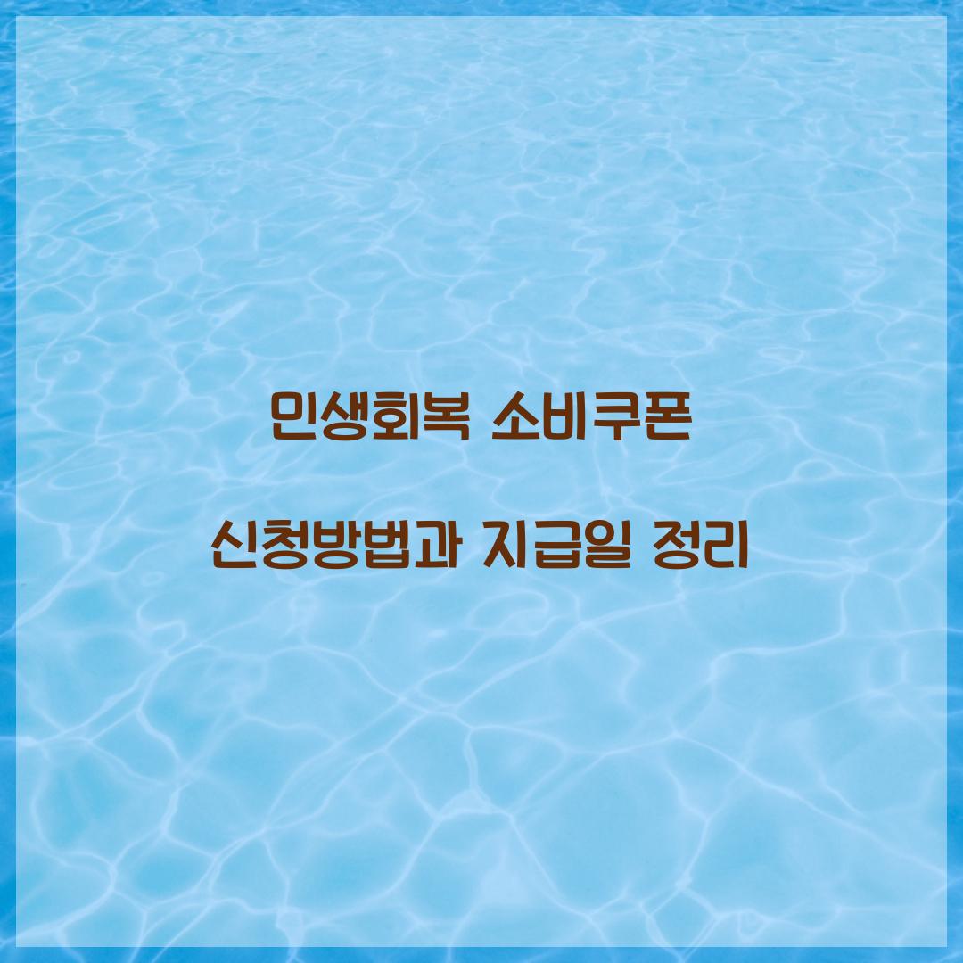 민생회복 소비쿠폰