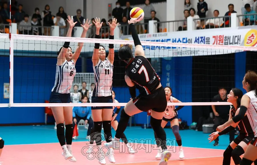 직장운동경기부 배구