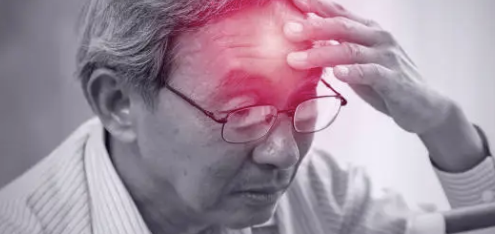엽산 효능