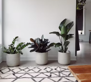 주택담보 생활안정자금 대출 서류 dsr 금리 자격