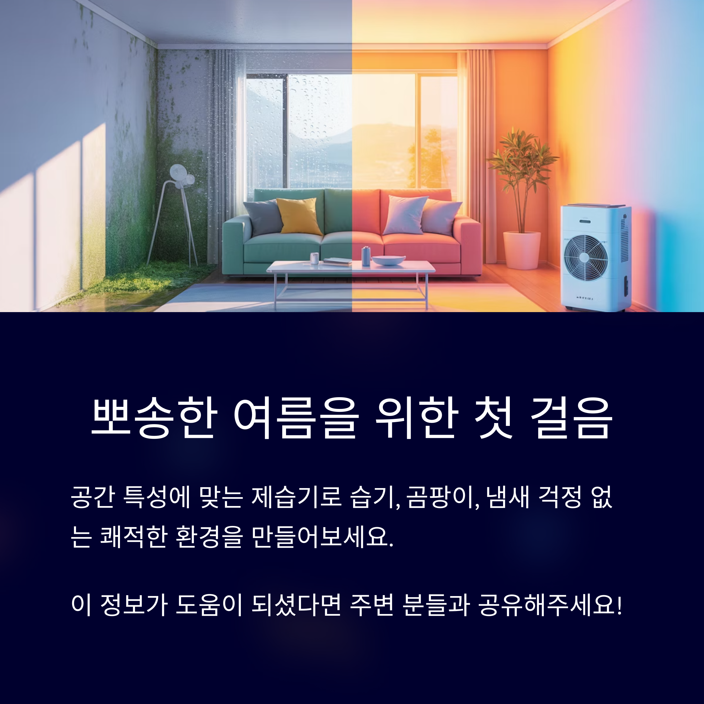 공간별 제습기 여름 걱정 끝!