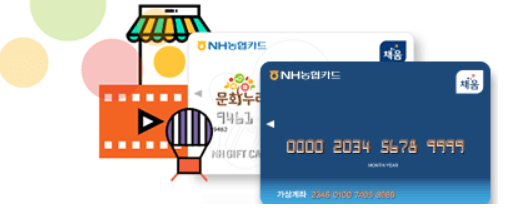 노인 문화누리카드