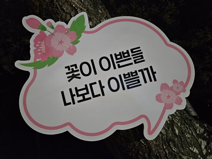 낙동강30리 벚꽃길 문구