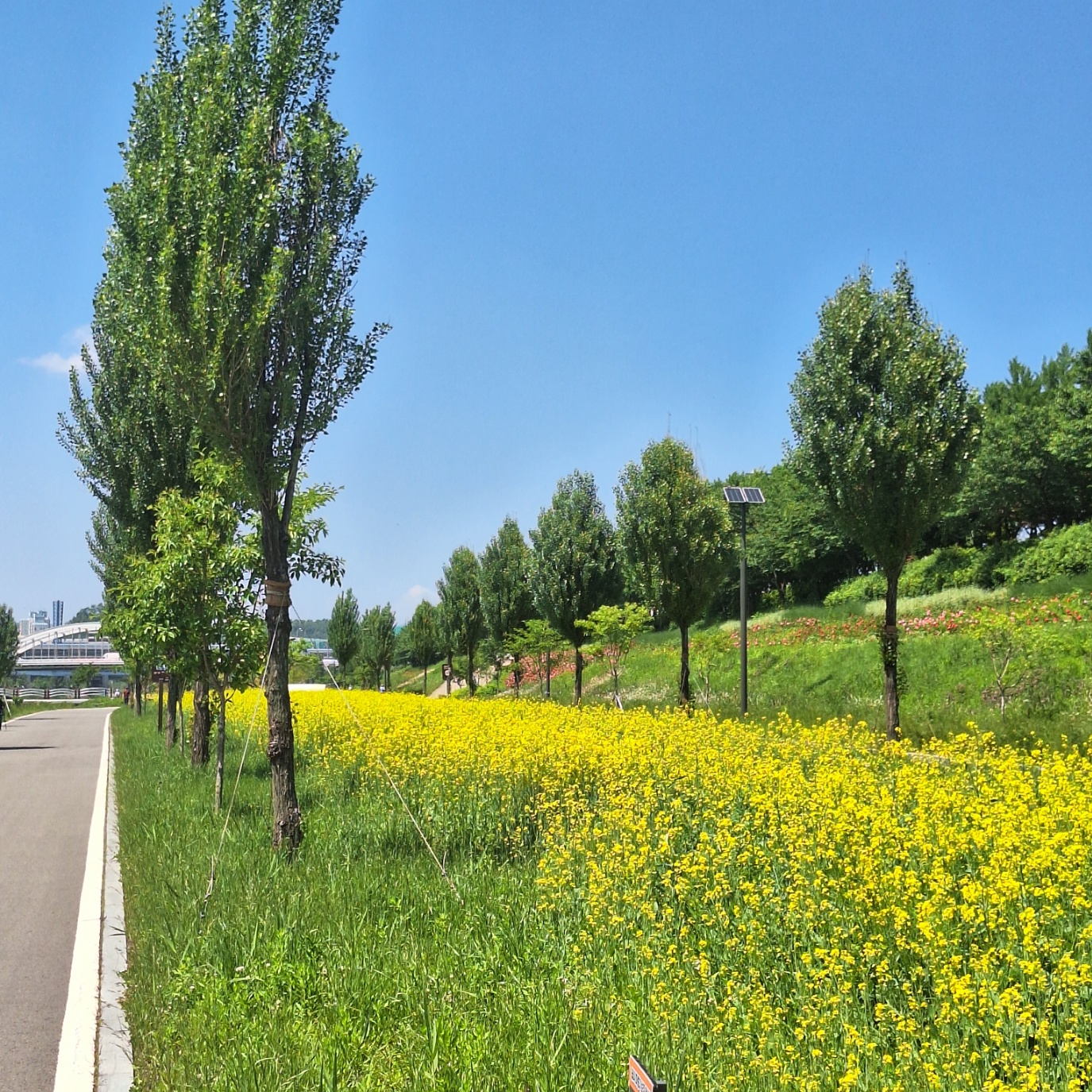 서울 둘레길 13코스 참여 후기