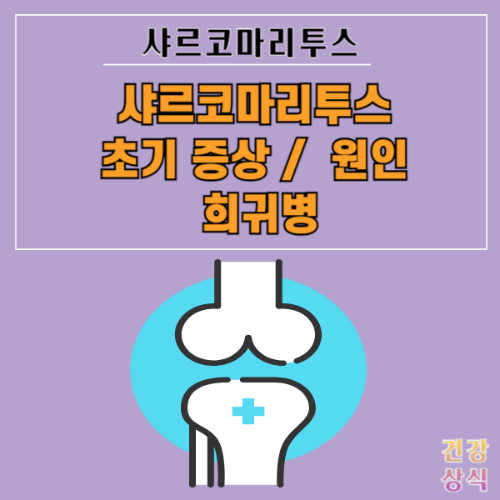 샤르코마리투스 초기 증상 원인 희귀병