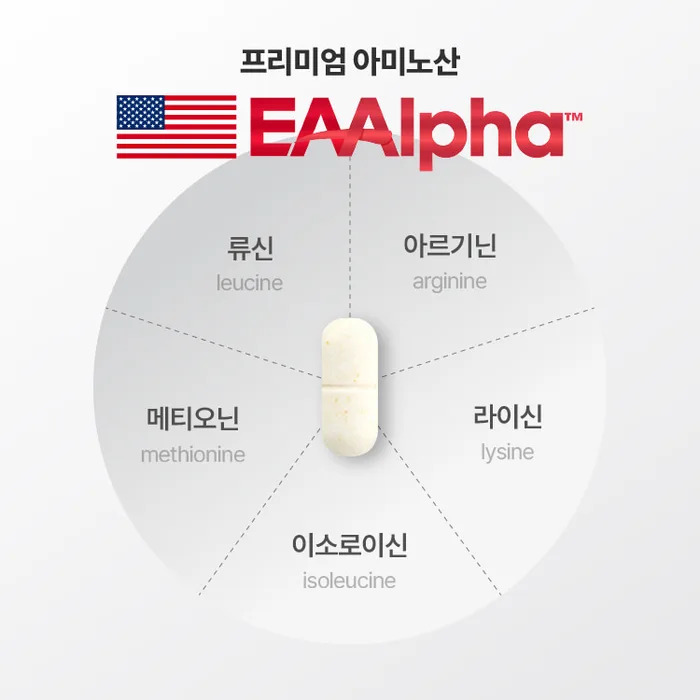 뉴티365 뉴티엠 부작용 내돈내산 후기 효능 복용법