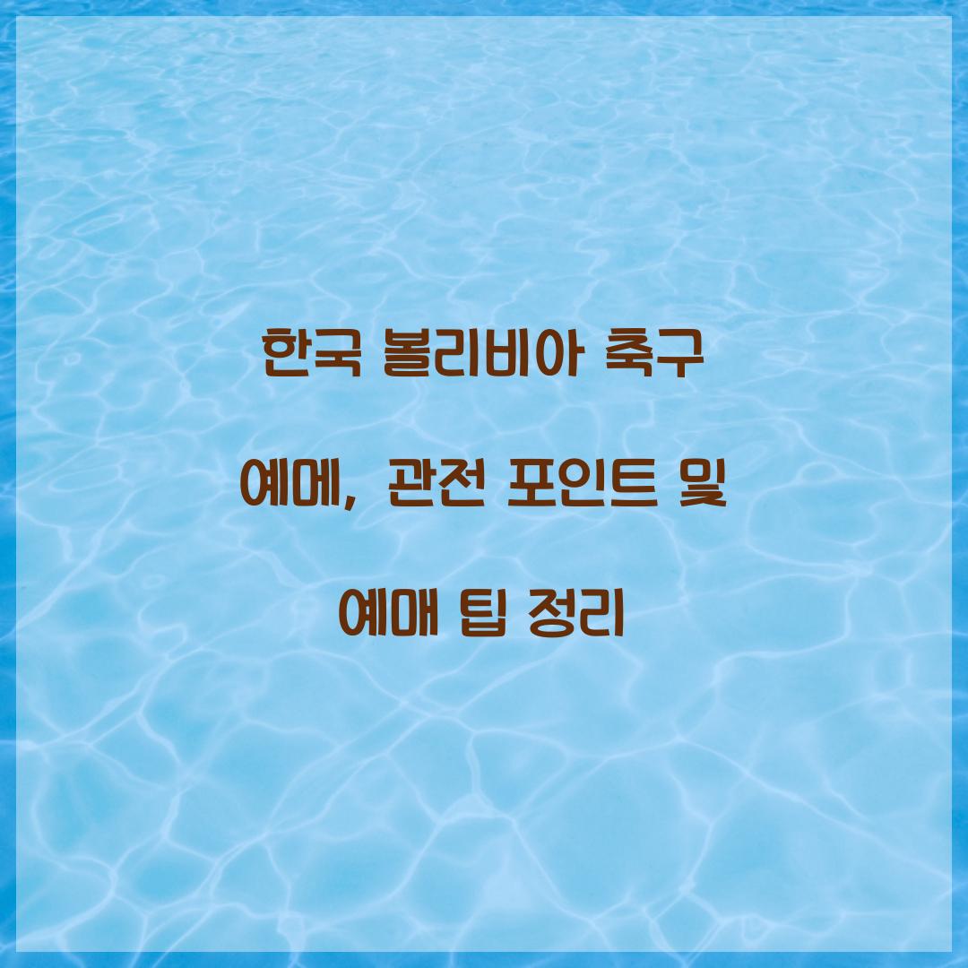 한국 볼리비아 축구 예메