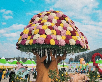 고흥 유자 축제_21