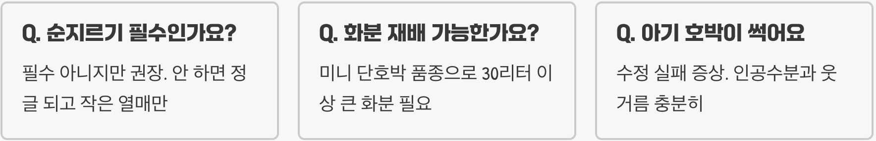 호박꽃 키우는 법과 관리 요령, 초보자도 쉽게 성공할 수 있는 재배 가이드