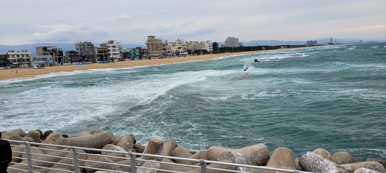 강릉앞바다 동해의 넘실거리는 파도