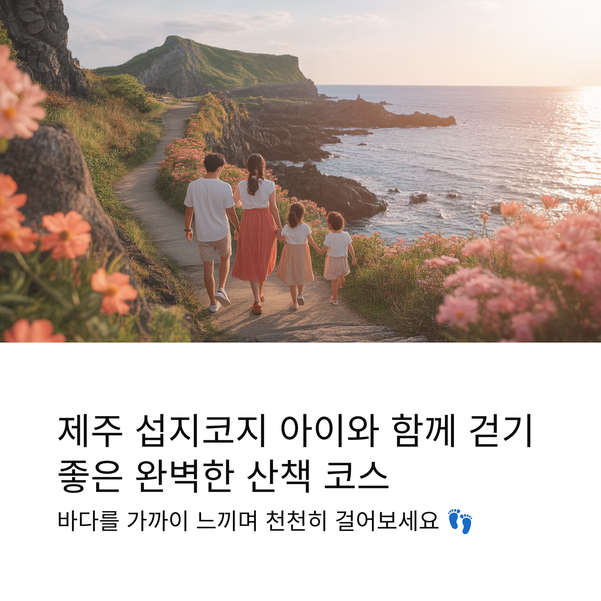 제주 섭지코지 아이와 함께 걷기 좋은 포인트 총정리