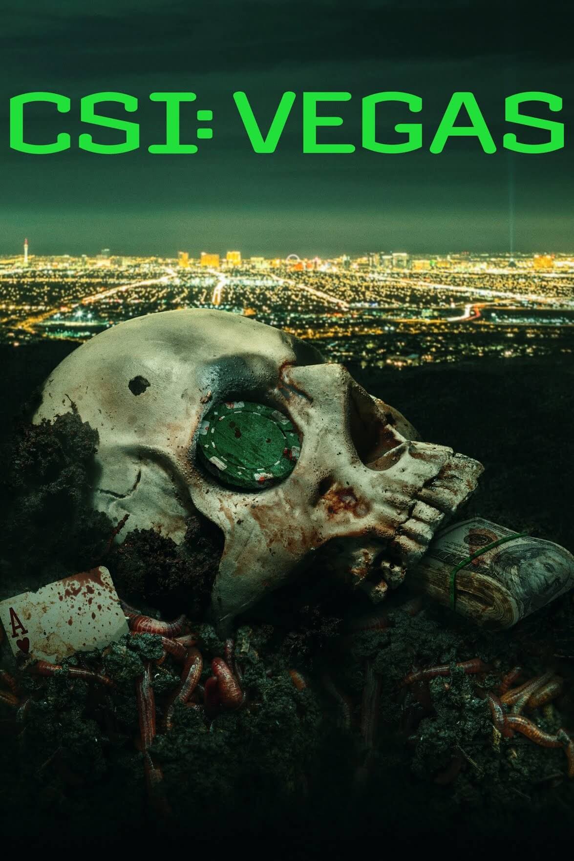 영화-csi vegas