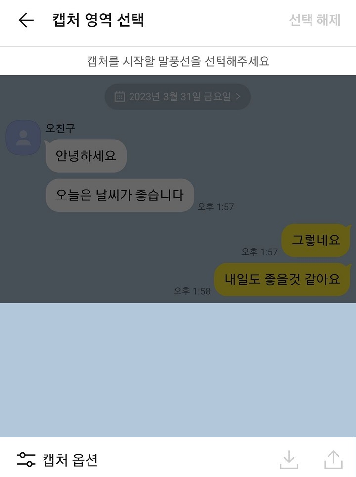 캡처가능 부분 화면 어두워짐