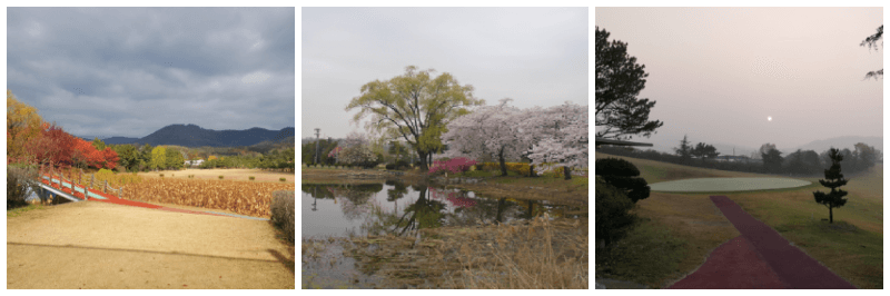 대구 체력단련장 사진 3개