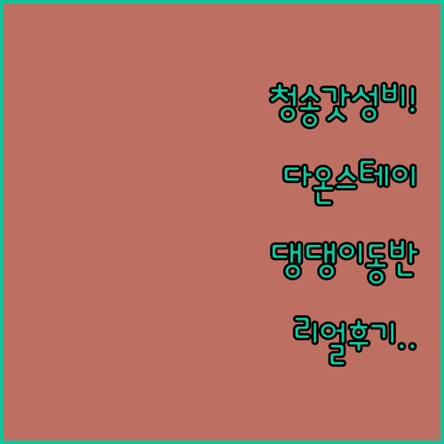 청송 가성비 숙소 다온스테이하우스펜션..