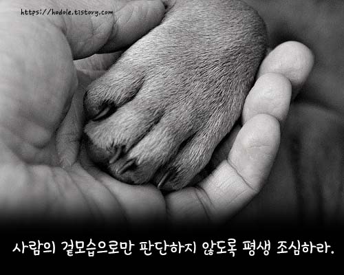 관계명언이미지