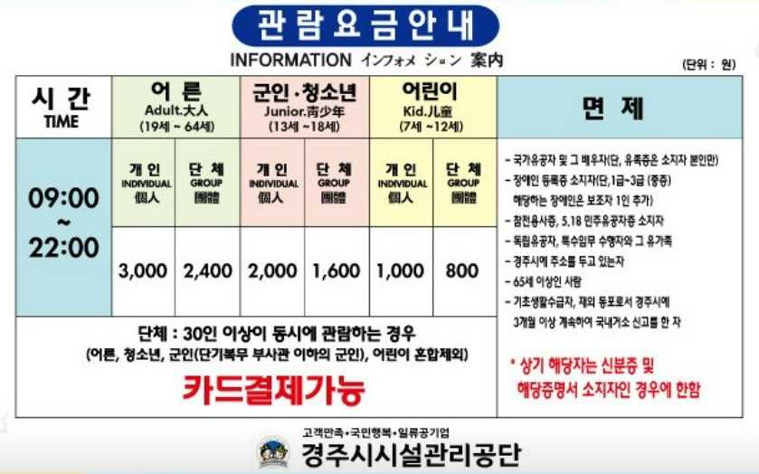 대릉원 미디어아트