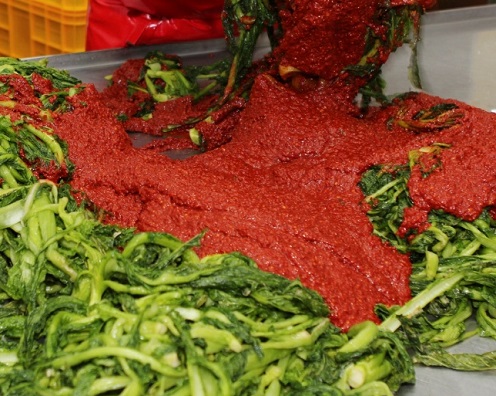 EBS-극한직업-여수-돌산-갓김치-천사갓김치