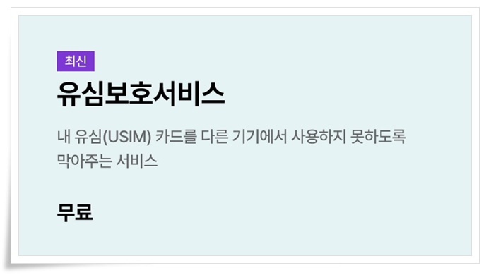 LG 유플러스 유심 보호서비스 무료 가입