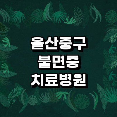 울산 중구 불면증