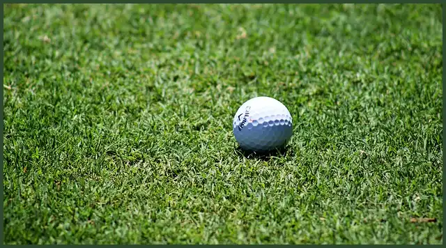 파크골프 공 4피스&amp;#44; 3피스&amp;#44; 2피스 차이점은?