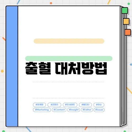 출혈 대처방법