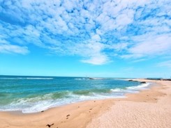 해변 꿈 해몽풀이 [무료 꿈해몽]